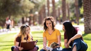 Students engaging in studies