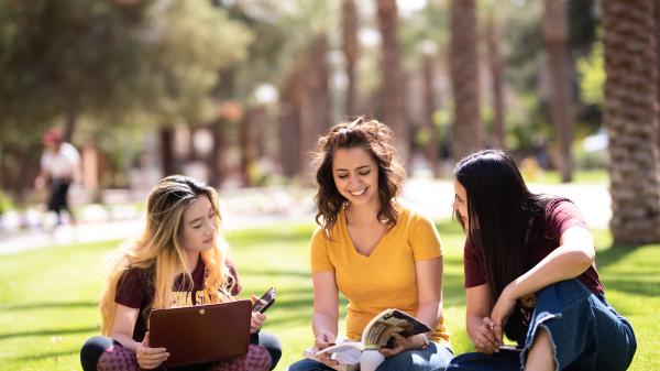 Students engaging in studies